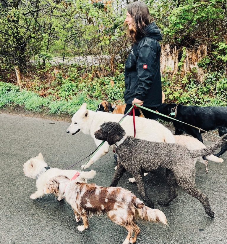 Gassiservice Hundebetreuung in der Hundegruppe in Bamberg, Haßberge und Umgebung